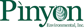 Pinyon Environmental